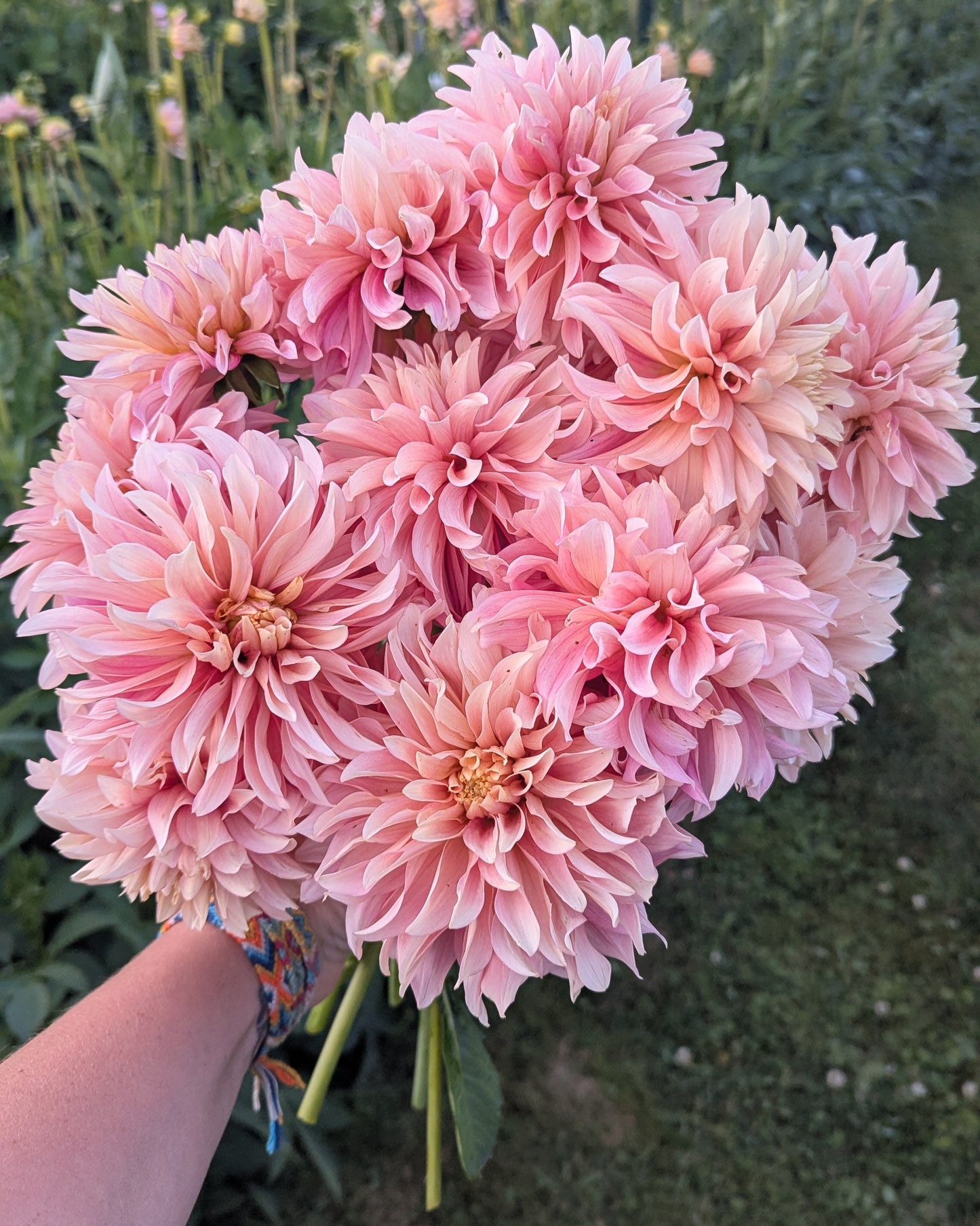 MISFIT ANTIQUE (NEW 2026) -LIMIT 1