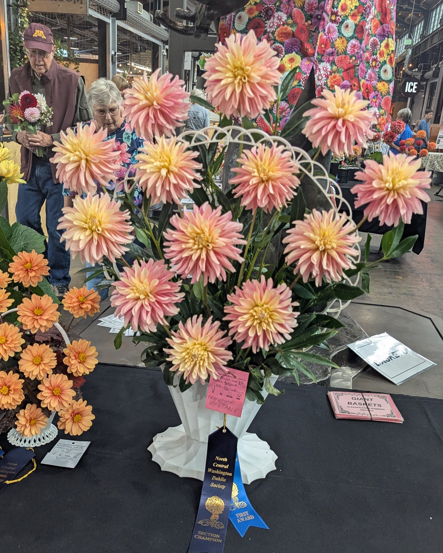 MISFIT ANTIQUE (NEW 2026) -LIMIT 1