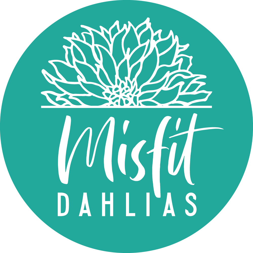 2026 COMBINED SHIPPING FEE